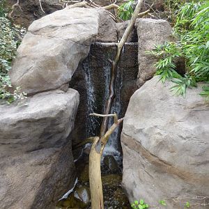 Waterfall in the new aviary