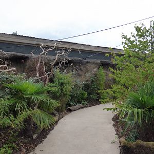 View of bird house in new aviary