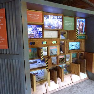 Wildlife trade educational draws