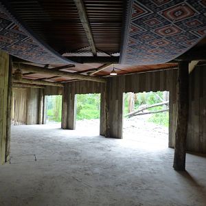 Sun Bear Outdoor Viewing Area