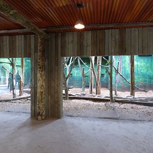 View of Sun Bear Indoor