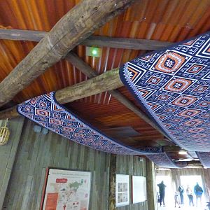 Details in Sun Bear Viewing Area