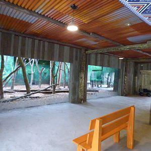 View of Sun Bear Corridor