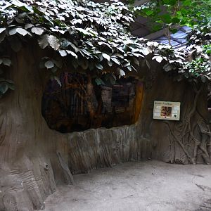 No more Cloud Rat (For now atleast)