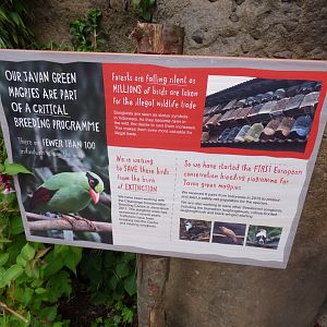 Javan Green Magpie Conservation Signage
