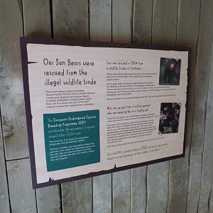 Sun Bear Signage