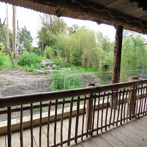 Sun Bear Viewing Area (2)