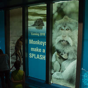 Aug. 2017 - Oceans/Marine Mammals - Macaques Replacing the Polar Bear