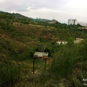 Snow leopard breeding facility