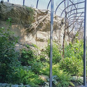 Bird House Sample Outdoor