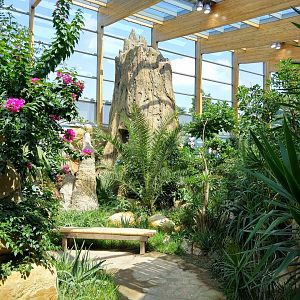 Bird House African Walkthrough