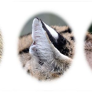 Photo Quiz August 2017 Revised Version