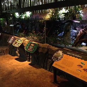 "Safe in the Shallows" tank