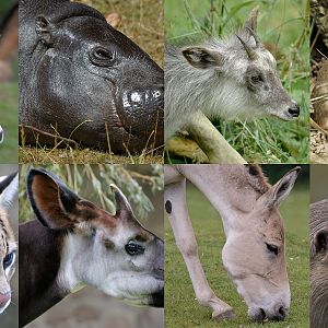 August Photo Quiz larger images