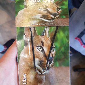 This made me chuckle