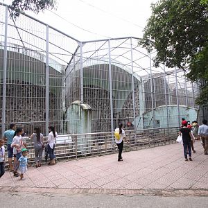 Row with carnivore cages