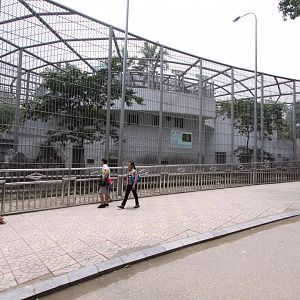 Tiger breeding complex