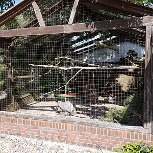 Another macaw-aviary