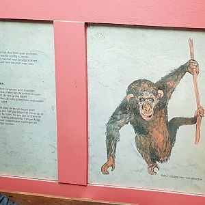Chimp-sign