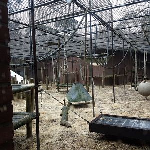 Chimp-enclosure