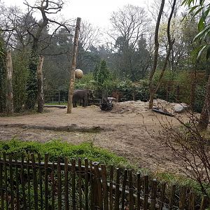 Bull-elephant enclosure