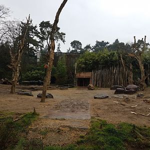 Elephant enclosure