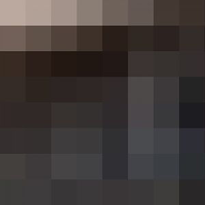 Alpine Ibex Enclosure