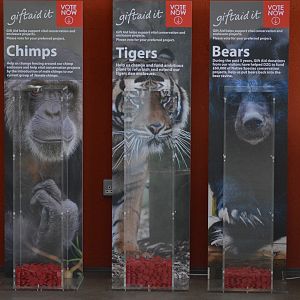 The tigers are winning