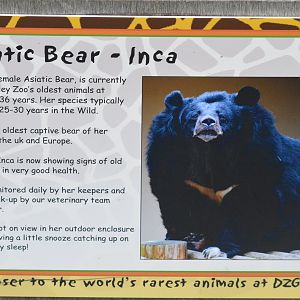 Sign for Inca (Asiatic black bear)