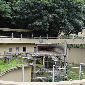 Home for an elderly bear