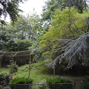 Future site of new orang enclosure