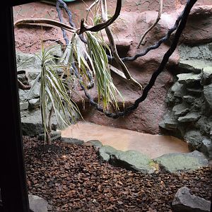 Reptile house