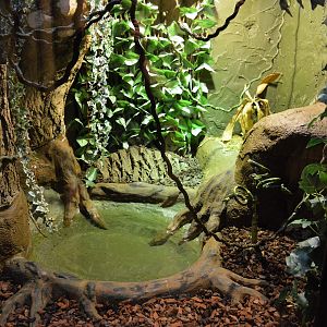 DZG reptile house