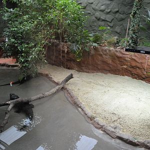 DZG reptile house