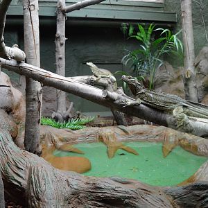 DZG reptile house