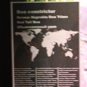 Sign Boa constrictor