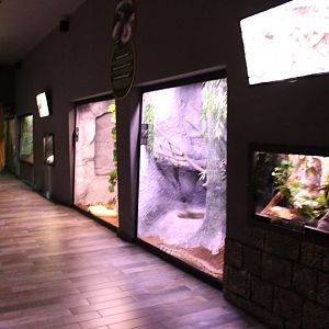 Large Sneke-enclosures