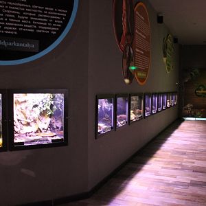 Smaller Herp-enclosures