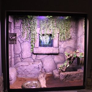 Enclosure Burmese python