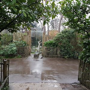 Viewing-window Spotted hyena-enclosure