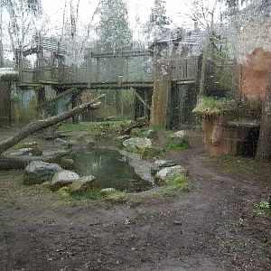 Part Spotted hyena-enclosure