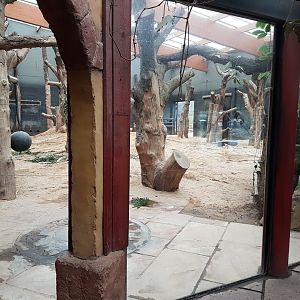 Elephant indoor-enclosure