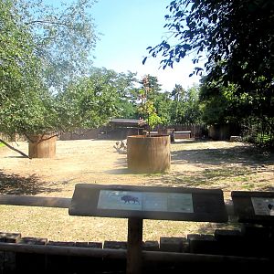 Wisent enclosure - July/2017