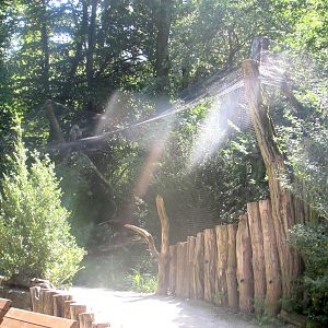 Owl aviary (1) - July/2017