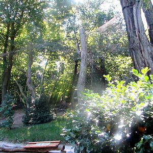 Owl aviary (2) - July/2017