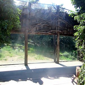 Observation window Siberian Tiger enclosure - July/2017