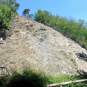 Incredible rock enclosure Himalayan Thars - July/2017