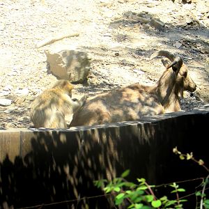 Beauty Salon - July/2017