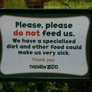 Mandrill enclosure, August 2017