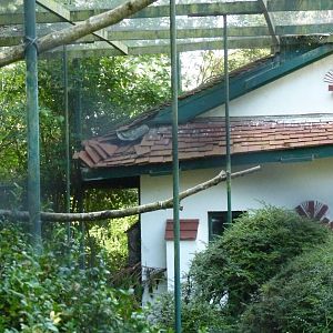 Cottage Aviary, August 2017